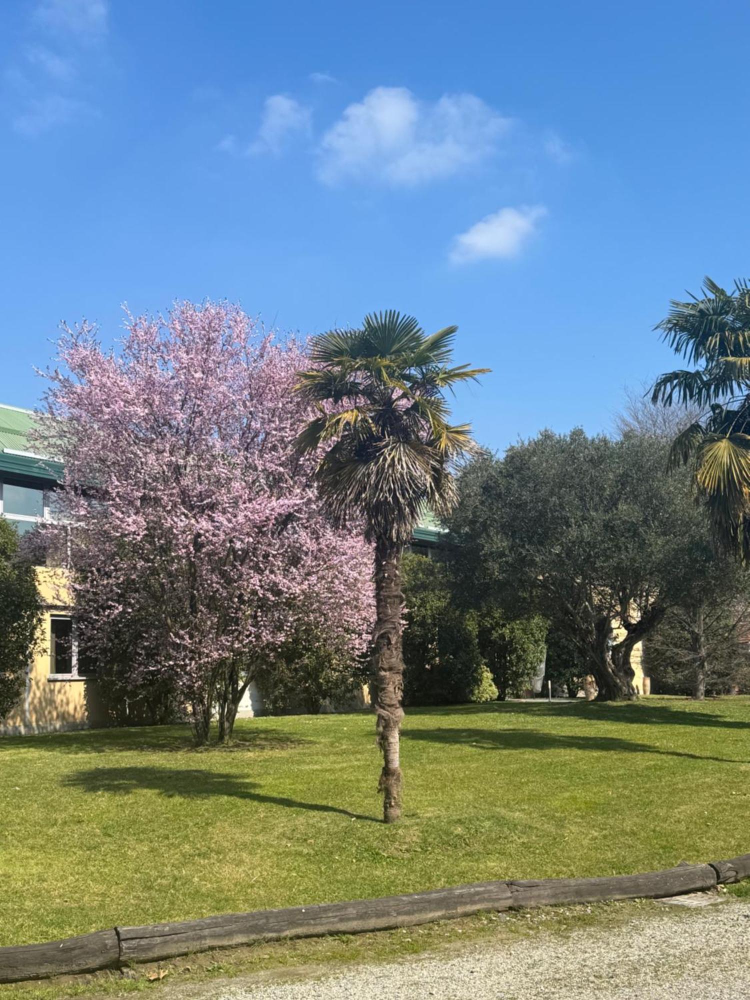 Parco Hotel Sassi Turim Exterior foto